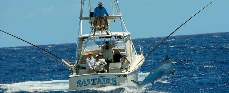 Game fishing boat Saltaire heading out to the Great Barrier Reef