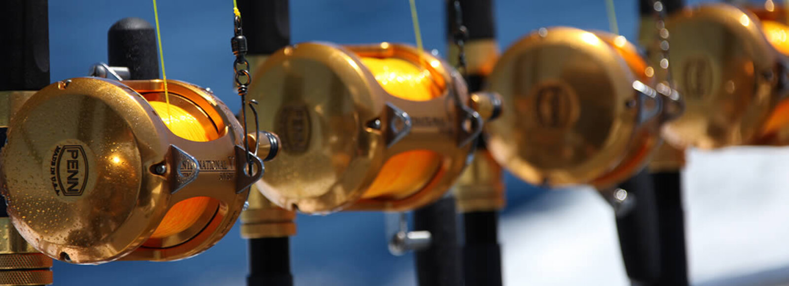 Sparkling gold game fishing gear