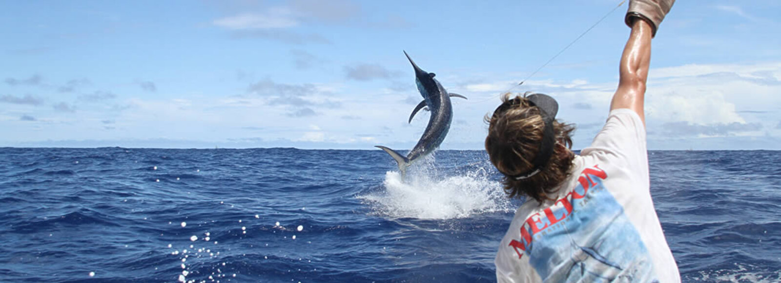 Game fisher grabbing fishing line to draw in jumping marlin fish during tournament