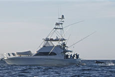 Port Douglas Marlin Game Boat in the coral sea