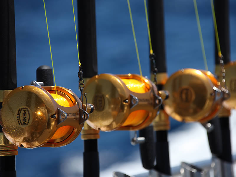 Golden and sparkling game fishing gear lined up on a boat