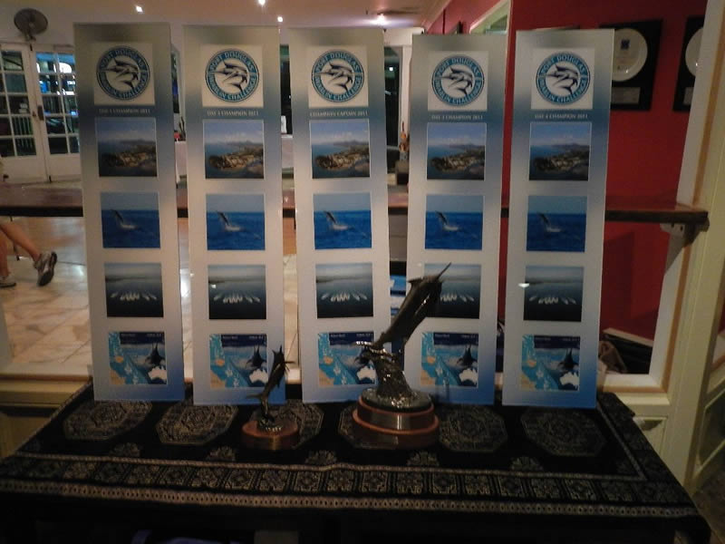 Port Douglas Marlin Challenge trophies lied out on table